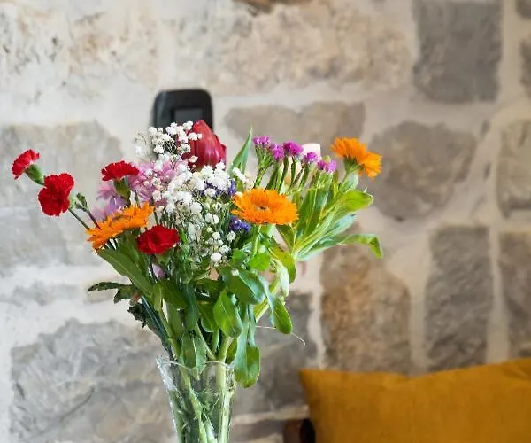 캡틴스 4* 스플리트