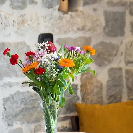 Captain's 4* Спліт