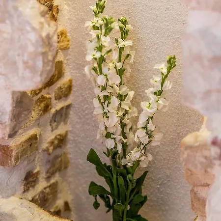 Vendégház Captain's 4*