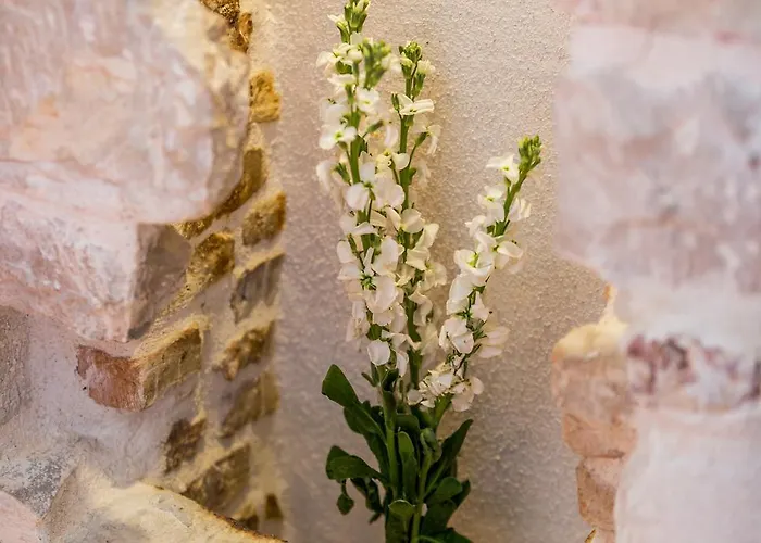 בית הארחה Captain's 4*